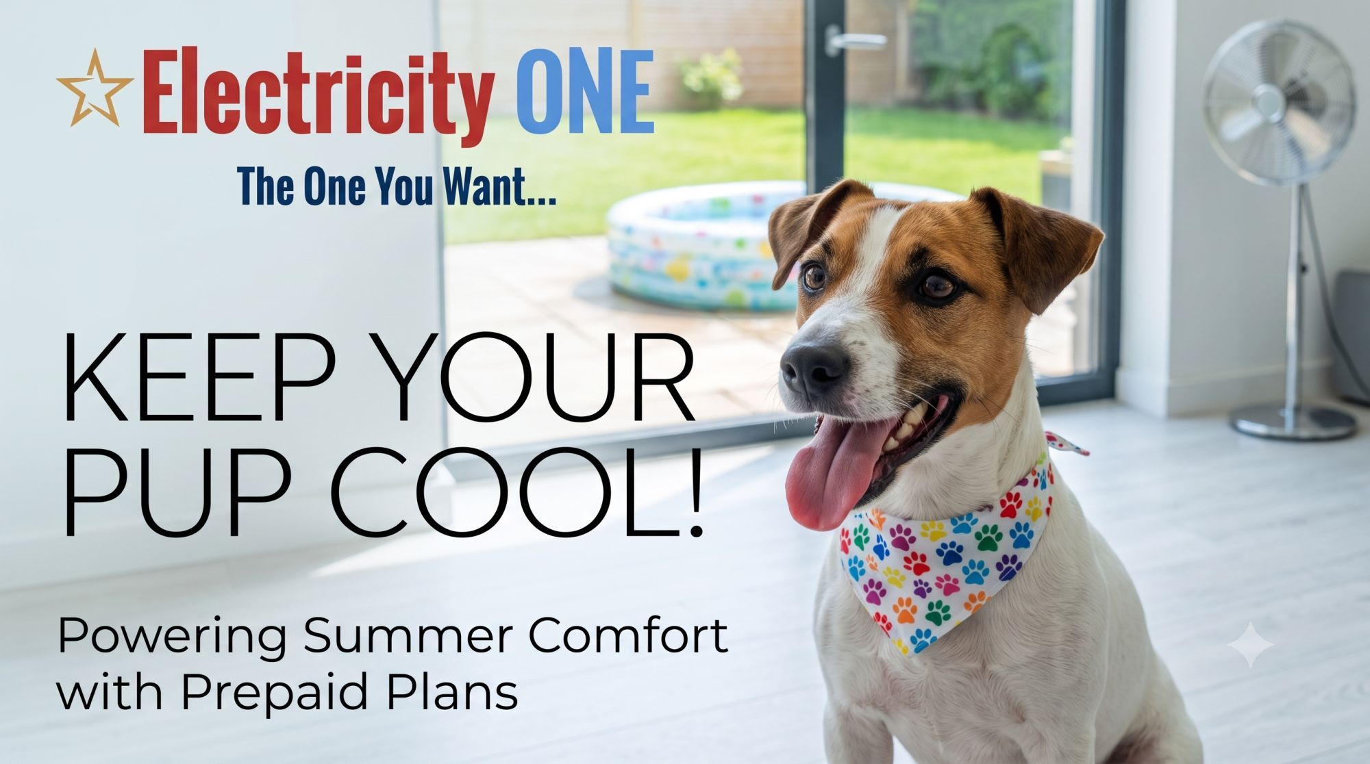 Beat the Texas Heat: Pawsome Ways to Keep Your Pup Cool Without Burning Through Cash